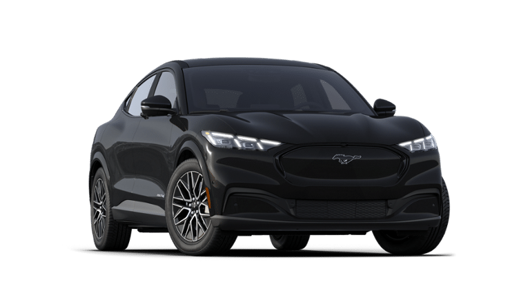 Mustang Mach-E® vehicle